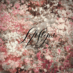 Lights Dim & Endless Melancholy - Soft Steps
