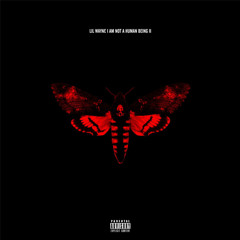 I Am Not A Human Being 2 - Lil Wayne (Album Mix)