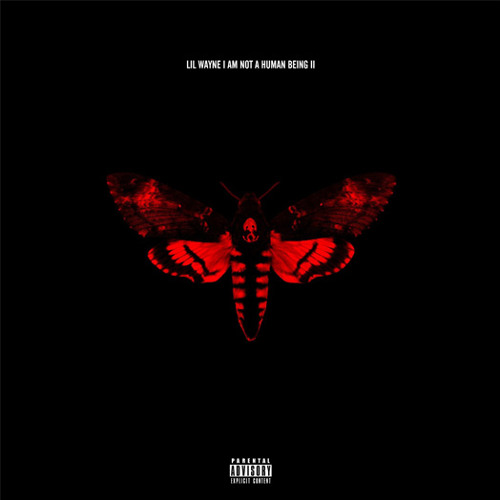 I Am Not A Human Being 2 - Lil Wayne (Album Mix)