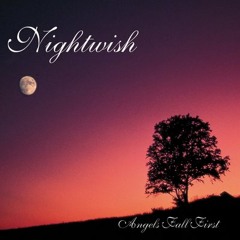 -Know Why The Nightingale Sings- Guitar Cover(Nightwish)