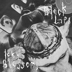 Black Lips - Mama's Don't Let Your Babies Grow Up To Be Cowboys