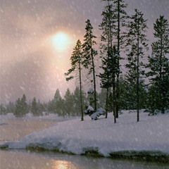 Catalist - Winter Chill