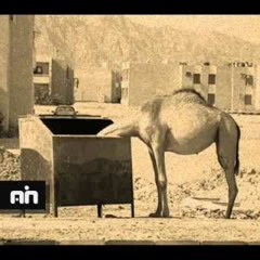 Adil Hiani - Carpet beaters (original mix)