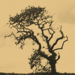 The Wheels - Ross Alexander II