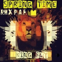 KING FLY - Spring Time (RmX P.A.F.) - FREE DOWNLOAD