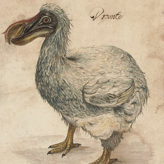 4 The Fall Of Autumn