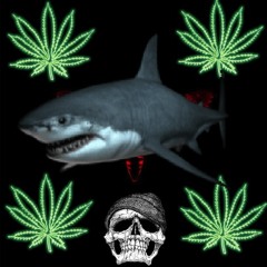 LIL WAYNE FT JUICY J - TRIPPY [PRXP'D OUT REMIX]