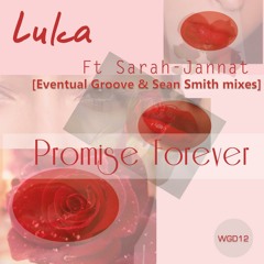 WGD0012 Luka Ft Sarah-Jannat - Promise Forever (Sean Smith Remix) (Preview)