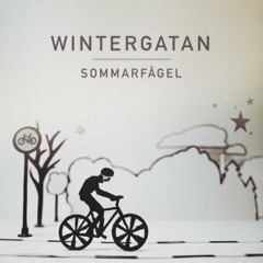 Wintergatan - Starmachine2000