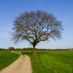 Various (DjPunjab.CoM) - Ran Botal Vargi (DjPunjab.CoM)
