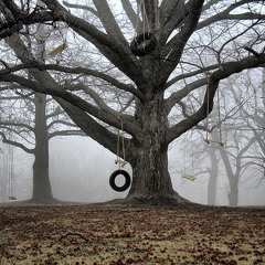 Tree Swinging Mladen Mioc Remix