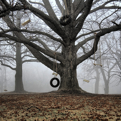 Tree Swinging Mladen Mioc Remix