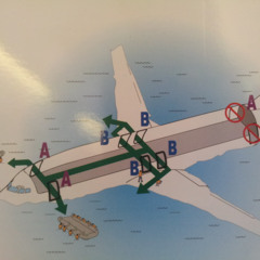 SEOUL_BERLIN01 at HUFS 한국외대