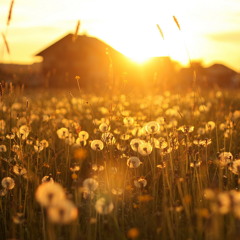 Andrea Bertolini and Eva Kade - I Need You (Eitro Remix)