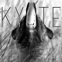 Kyote - Time Machine