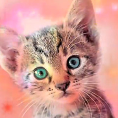Best Kitty Cat Song [OFFICIAL] feat. GRUMPY CAT