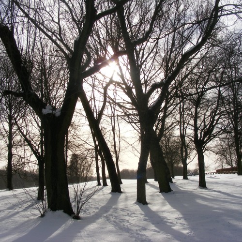 Fimbulwinter (cello quartet)
