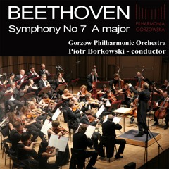 L. van Beethoven - 7th Symphony 2nd mov.