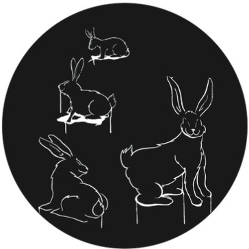 White Rabbit Recordings