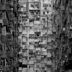 قُدسيةُ حَمقاء