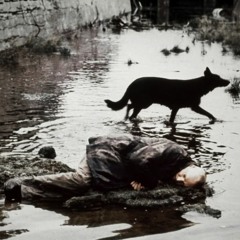 Hate (Feat. Ill Soul)