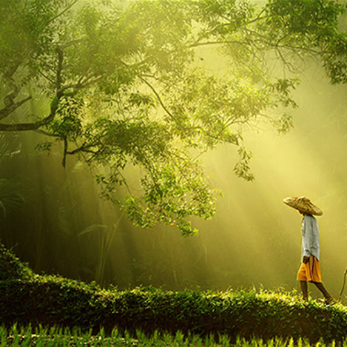 Journey