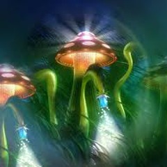 La Face C - Mushroom Invader (Tribe)175 Bpm