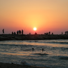 Mad Guru - Improvisynth