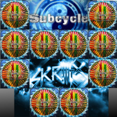 Subcycle - Make It Bun Dem 10x Mashup (Skrillex & Damian Marley & Friends)