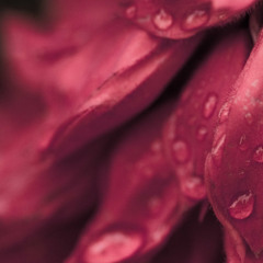 Part 4 DEEPER FRI 22ND MARCH