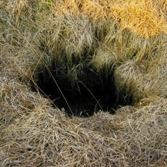 In the ground