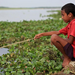 i.e.shop - Fisherboy