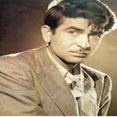 Mr Kapoor's Japanese shoe