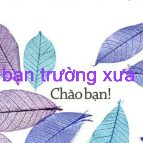 Bai Khong Ten Tro Lai Cuoi Cung - Tuan N [MP3 128kbps]
