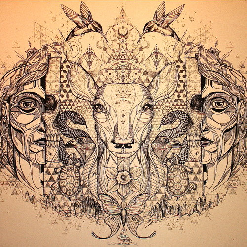 Connection - WIP -