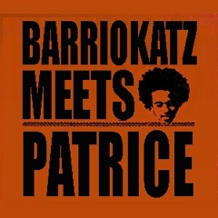 Patrice - Soulstorm (Barrio Katz DnB Version)