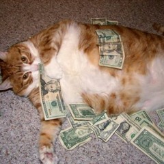 Pussy, Cash No Drama