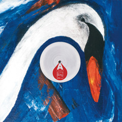 [PNR002] A1. Vlad Caia - Swan Lake (low quality snippet)