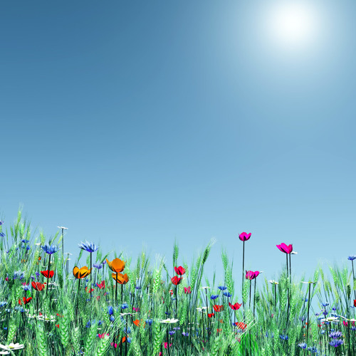 My Spring 2013