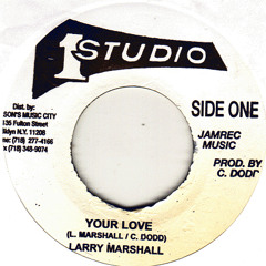 Your Love - Larry Marshall Cover