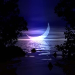 Pete Silver- Moon Orchids (Original mix) [PREVIEW]