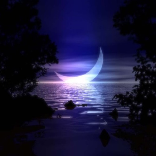 Pete Silver- Moon Orchids (Original mix) [PREVIEW]