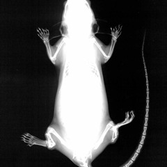 SickRat - After All.