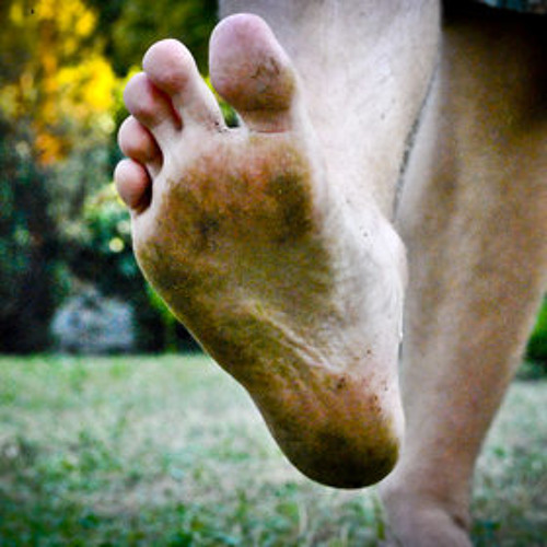 Native Dog - Bare Stomp 2