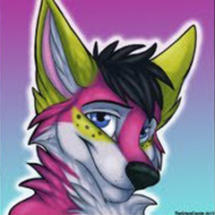 Melstin - Lemonade Coyote