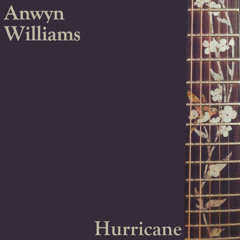Anwyn Williams - Hurricane