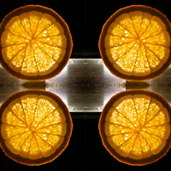 The Agony of an Army