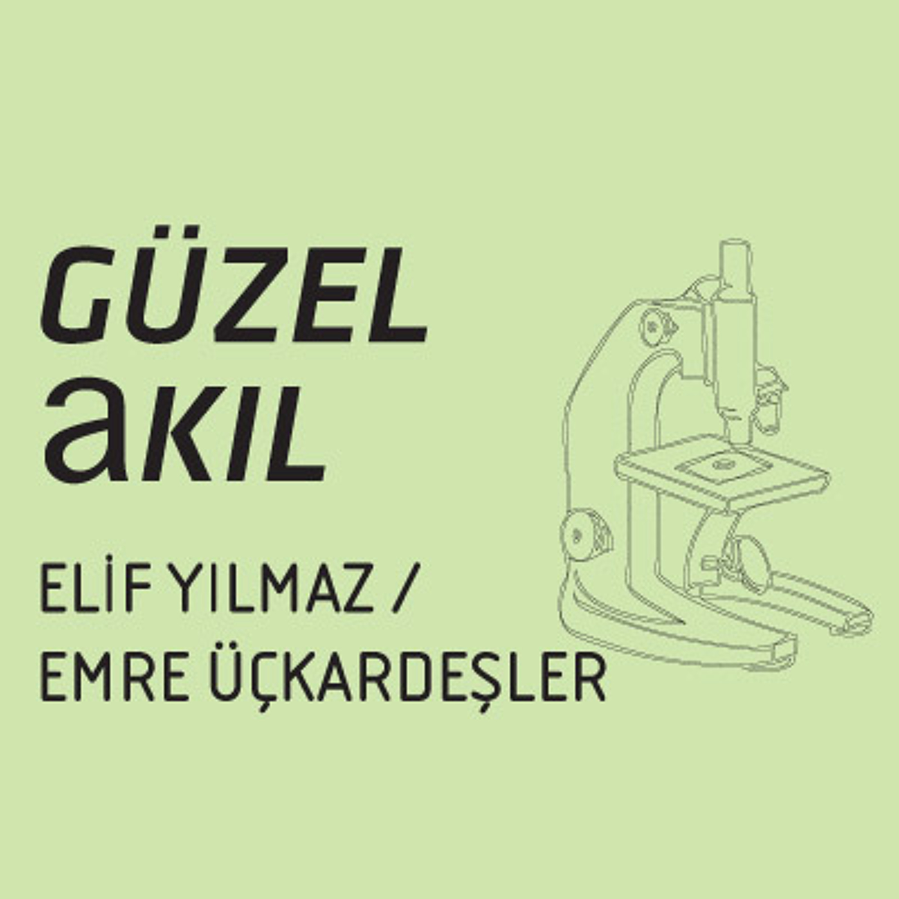 Güzel Akıl - 24 Mart 2013 episode artwork