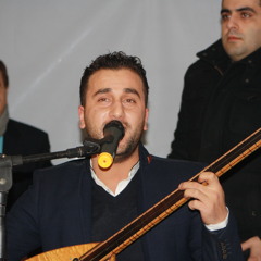 Menal Ronak - Mendel (03/2013)