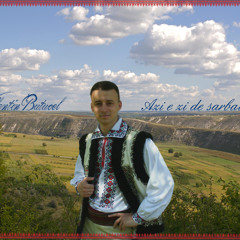 Valentin Butucel-Azi e zi de sarbatoare